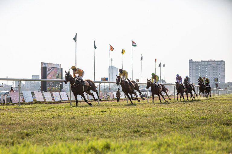 Success Stories: Winning with Horse Racing Bets on Allpaanel